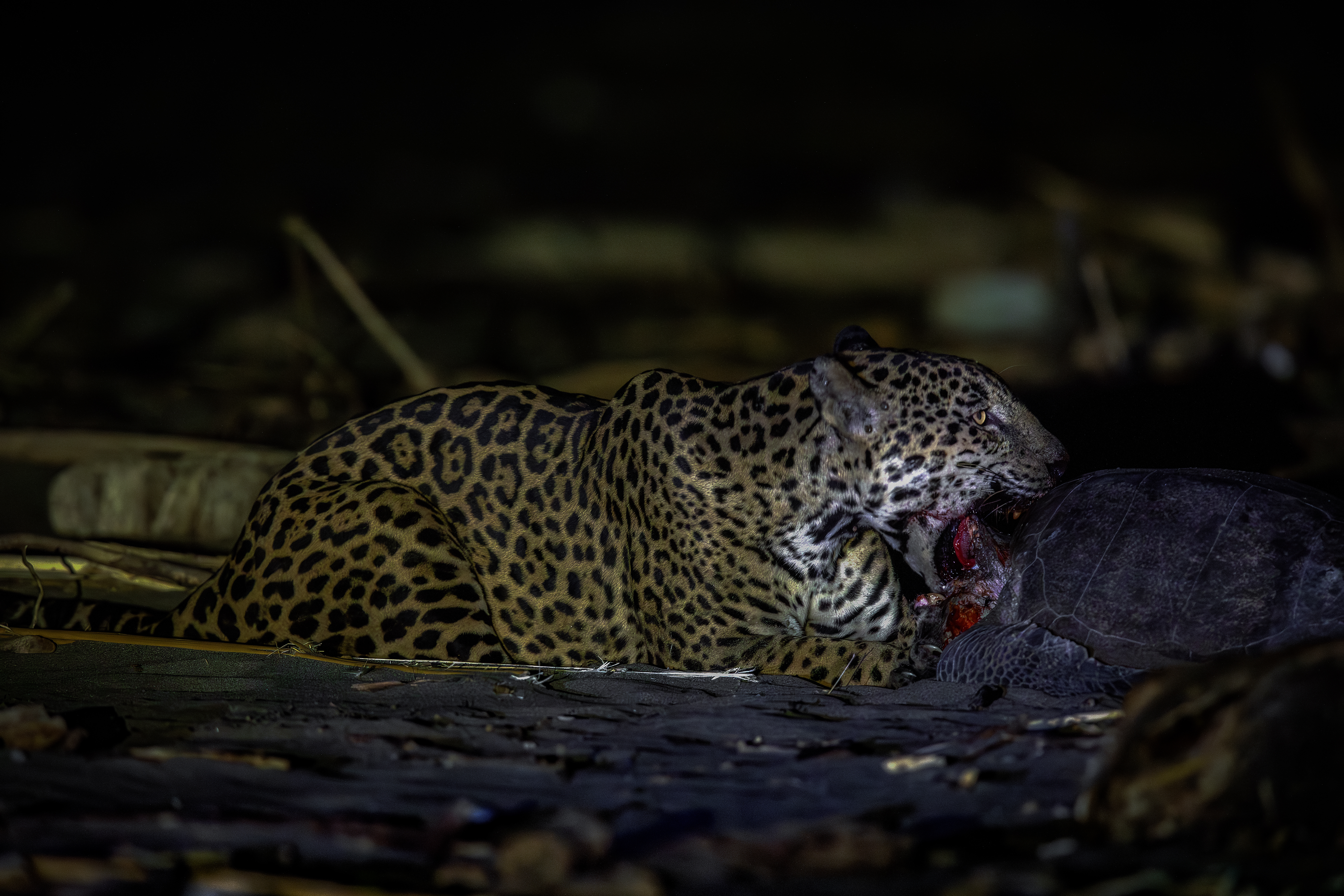 Gestión de Biodiversidad